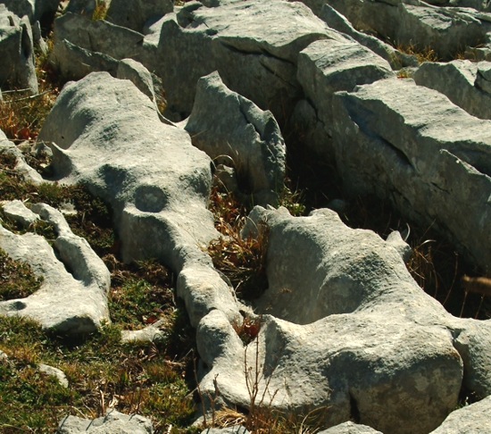 Sculture naturali